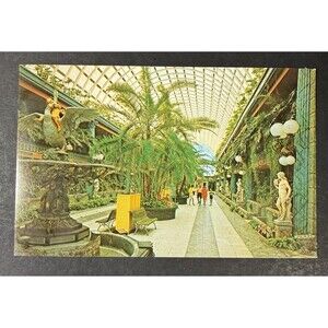 Vintage Kapok Tree Inn The Entrance Mall Clearwater FL - Vintage Postcard